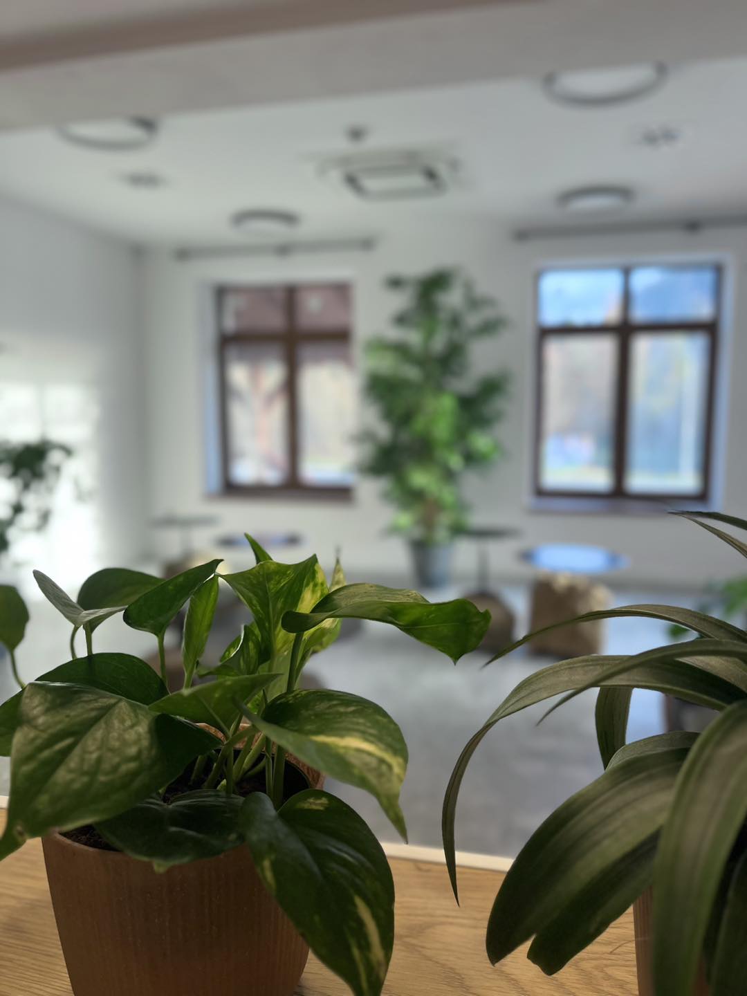 467504929_1129864632474894_1936994201168607922_n