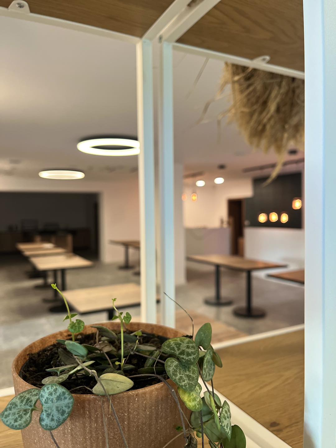 467756101_1129864629141561_6619893955333950562_n